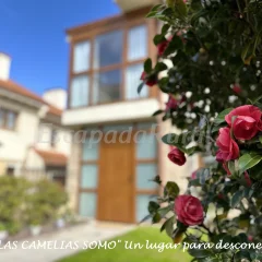 Casa Las Camelias Somo