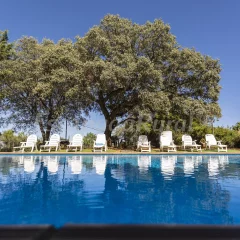 Finca El Pozuelo