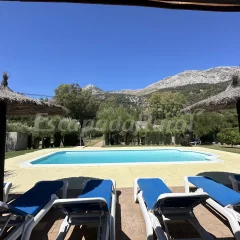 Venta del Rey
