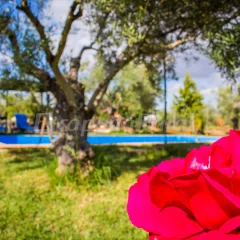 Casa Rural Los Duranes