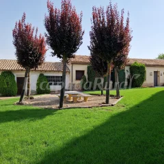 La Sierra
