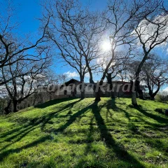 Sallobante Aterpetxea