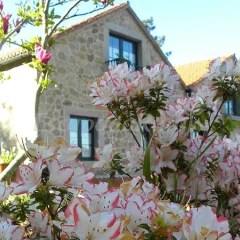 Casa Pedrolo
