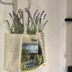 Casa Calima y Viña Vella