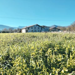 Casa Rural Aldamoli Landetxea 