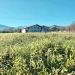 Entorno Aldamoli Landetxea