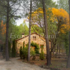 Casas Rurales Fuente el Ojico