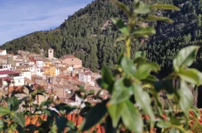 Imagen de El Cantón 