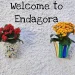 Endagora