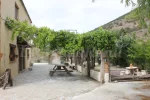 VIVE LA BERREA EN LAS MENAS DE SERON