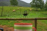 Día de Asturias 