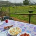 Desayuno en plena naturaleza 