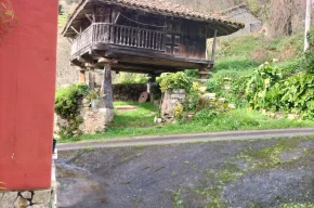 Imagen de El Toral