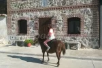 Escapada rural con actividades para niños 