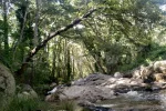 Casa en medio de la naturaleza con la garganta a los pies