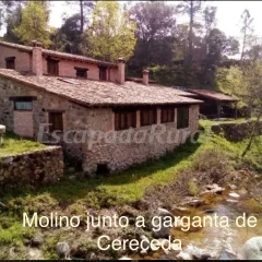 El Molino CS I