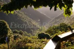 Pont de l'11 de setembre al Montseny