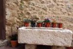 Disfruta en grupo Ribera del Duero