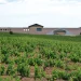 Casa Rural Solterra