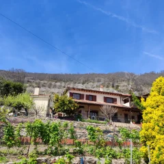 Casa Rural El Regajo Valle del Jerte