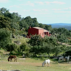 Finca Al-Manzil