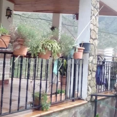 Casa del Ratón y la Rana