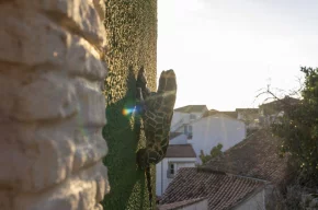 Imagen de Casa Rural U Lagartu 