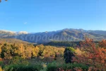 Disfruta del otoño con familia y amigos en una casa de campo con vistas inigualables de la Sierra de Gredos, de viernes 13 a domingo 15/11/2026 (2 noches)