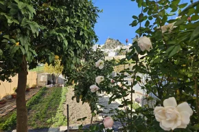 Imagen de Casa Albeniz