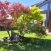 Jardin y porche