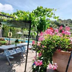 Casa Rural La Solera