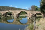 PUENTE DEL PILAR