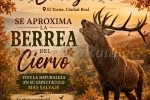 Berrea 