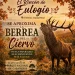 Berrea 