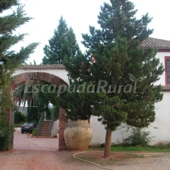 Finca los Cárdenes