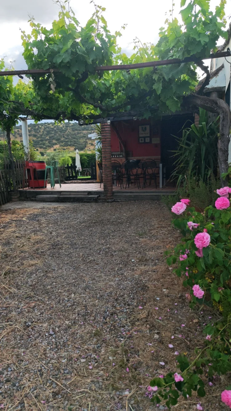 Imagen de Jardin