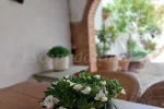 Semana Serranía de Cuenca y Alto Tajo