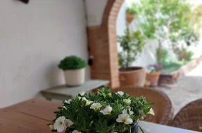 Imagen de La Casa de Dori