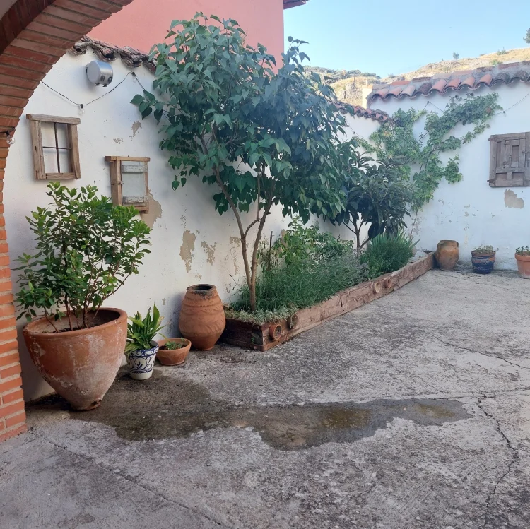 Imagen de Patio