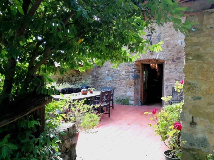 Imagen de Entrada