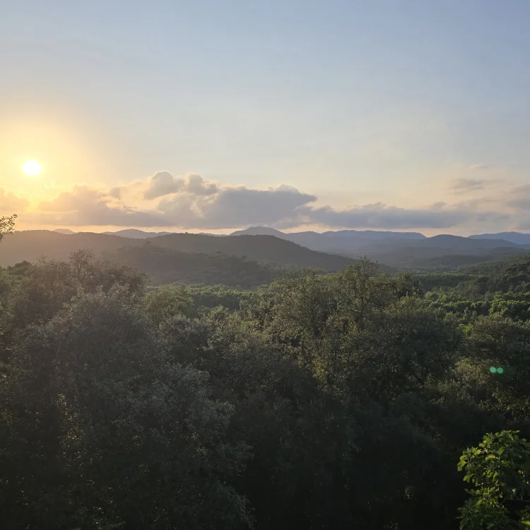 Imagen de Puesta de Sol