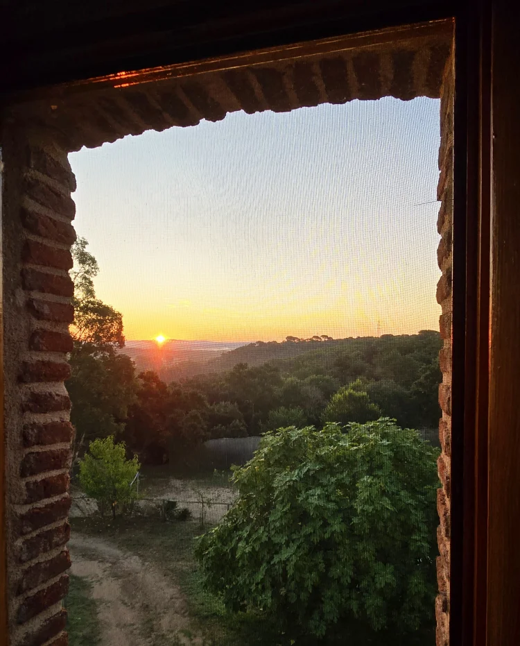 Imagen de Salida de Sol desde una ventana de la casa