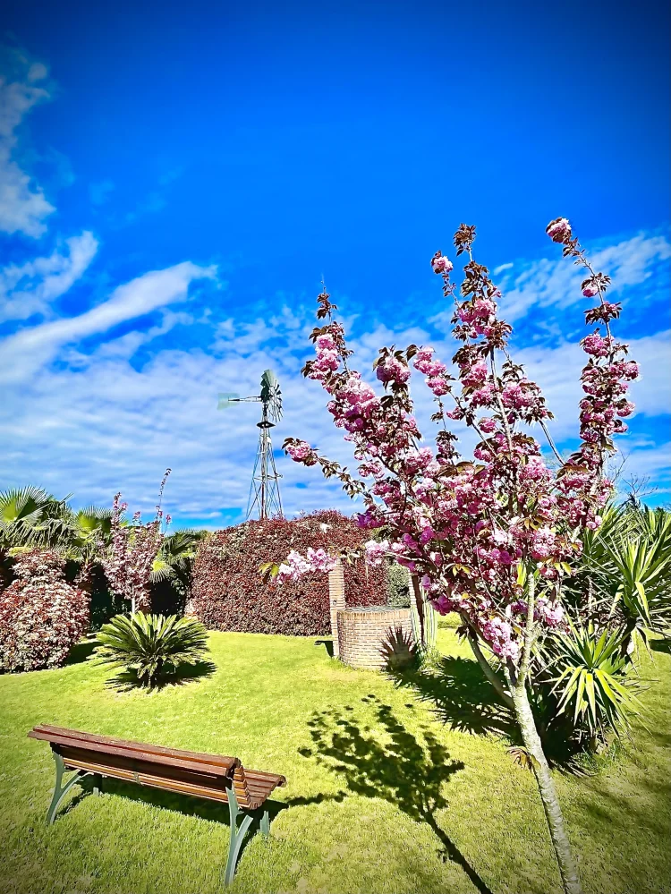 Imagen de Jardin Villa Mediterraneo primavera