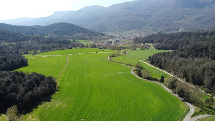 Imagen de Vistes d'ocell