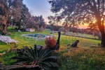 Agosto en plena Naturaleza