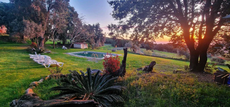 Imagen de Piscina y amanecer