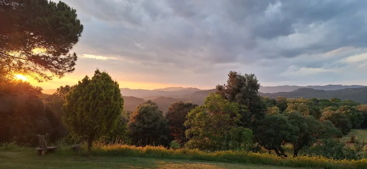 Imagen de Vista a la Guilleries desde comedor exterior trasero