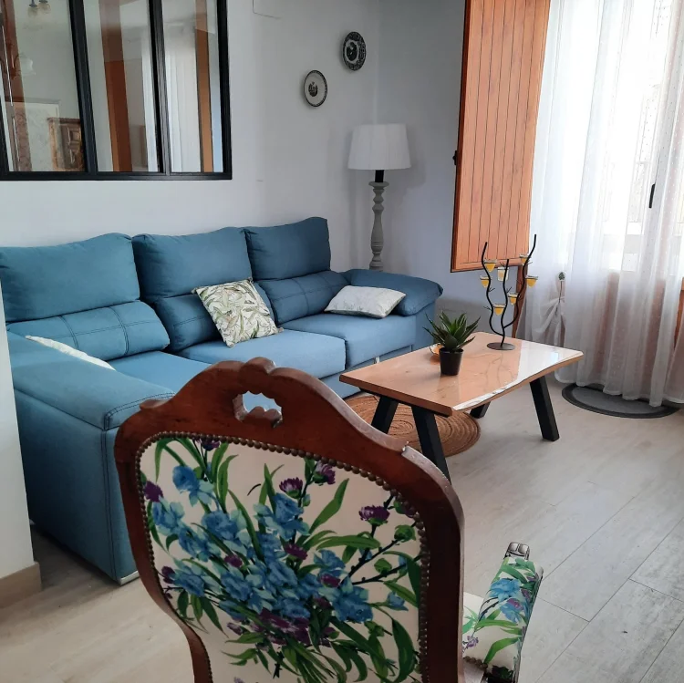 Imagen de Salon principal sofa convertible cama 1 persona con tele.