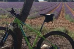 OFERTA JULIO Festival de la Lavanda 2026