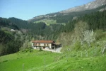 Casa rural Zulueta